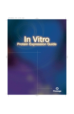 In Vitro Expression Guide, BR053
