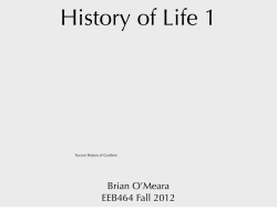 History of life 1 - Brian O`Meara Lab
