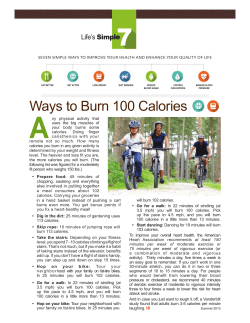 Summer Calorie Burners