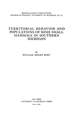 territorial behavior and populations of some small