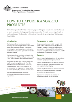 How to export kangaroo products
