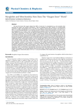 Myoglobin and Mitochondria: How Does The &ldquo;Oxygen Store&rdquo; Work?
