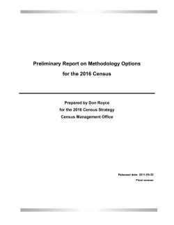 Preliminary Report on Methodology Options for