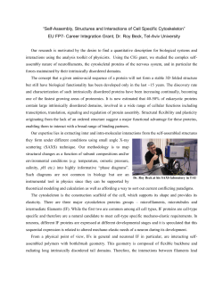 EU FP7- Career Integration Grant, Dr. Roy Beck, T