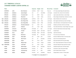 Perennials List - Cheshire Nursery