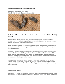 Miller Moths - Colorado State University Extension