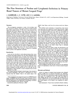 The Fine Structure of Nuclear and Cytoplasmic