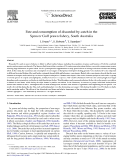 Fate and consumption of discarded by-catch in the