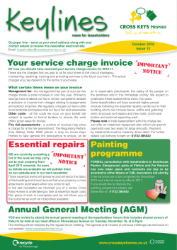 Annual General Meeting (AGM) Essential repairs Painting