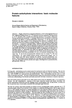 as a PDF