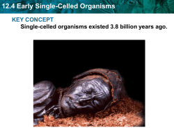 12.4 Early Single-Celled Organisms