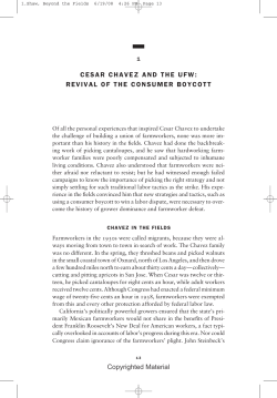 Beyond the Fields - Sample Chapter