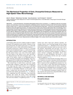 The Mechanical Properties of Early Drosophila Embryos