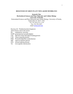 1 BIOGENESIS OF GREEN PLANT THYLAKOID