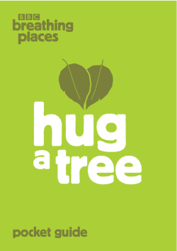 BBC Breathing Places Hug a Tree Booklet