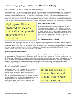 Hydrogen Sulphide Gas and Mushroom Composting