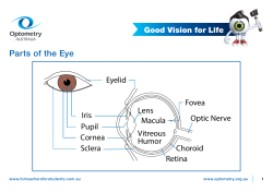 Parts of the Eye - FOR TEACHERS for students