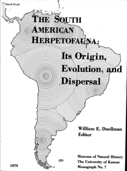 the south american herpetofauna