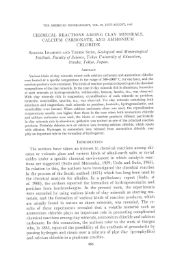 CHEMICAL REACTIONS AMONG CLAY MINERALS` CALCIUM