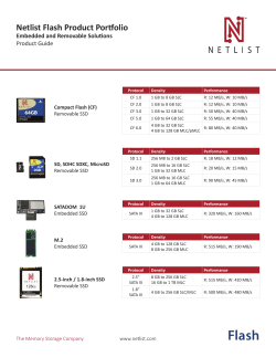 Netlist Flash Product Portfolio