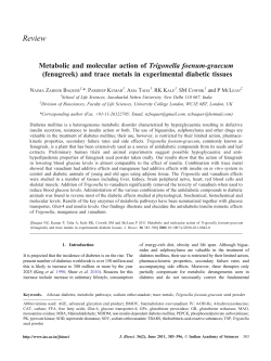 Metabolic and molecular action of Trigonella foenum