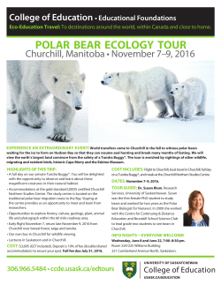 polar bear ecology tour - Continuing Education