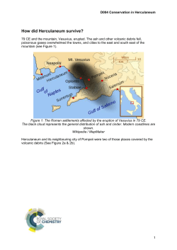 How did Herculaneum survive?