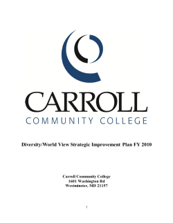 Carroll Community College Diversity and Global View Plan