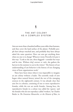 Ants are more than a hundred million years older than humans, and