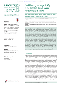 Plastid-bearing sea slugs fix CO2 in the light but do not require