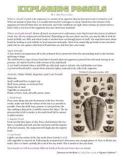 EXPLORING FOSSILS - figuresinmotion.com