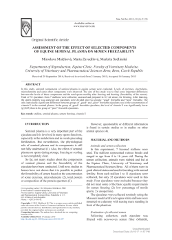 Assessment of the Effect of Selected Components of Equine
