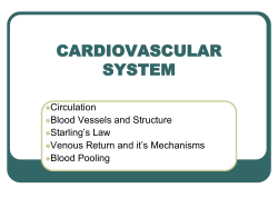 Cardiovascular System 4