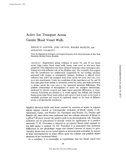 Active Ion Transport Across Canine Blood Vessel Walls