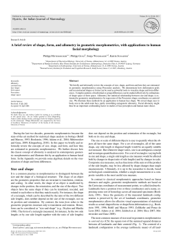 A brief review of shape, form, and allometry in geometric