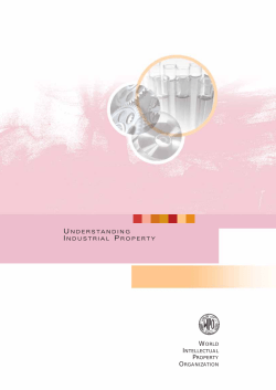 UNDERSTANDING INDUSTRIAL PROPERTY