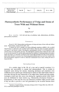 Photosynthetic Performance of Twigs and Stems of Trees