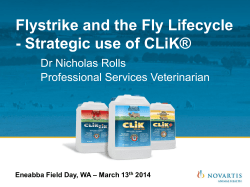 Flystrike and the Fly Lifecycle