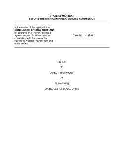 STATE OF MICHIGAN BEFORE THE MICHIGAN PUBLIC SERVICE
