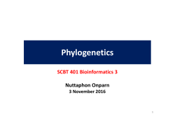 Phylogenetics