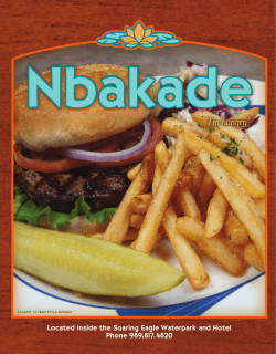 Nbakade - Soaring Eagle Waterpark and Hotel