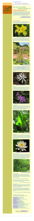 October Native Plant News