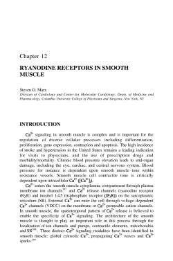 Chapter 12 RYANODINE RECEPTORS IN SMOOTH MUSCLE