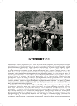 introduction - Fossil Imprint