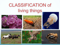 how biologists classify organisms