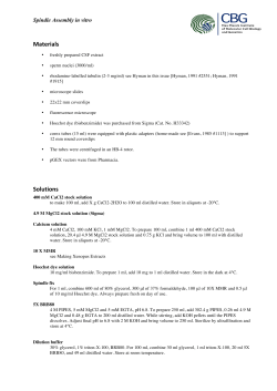Spindle Assembly in vitro
