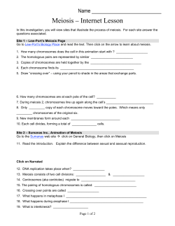 Meiosis &ndash; Internet Lesson
