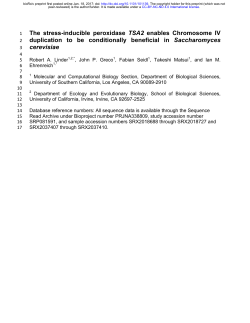 The stress-inducible peroxidase TSA2 enables Chromosome IV