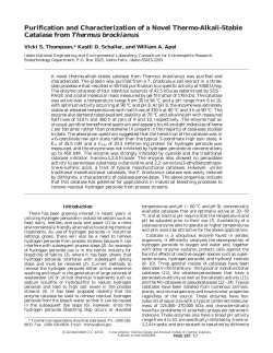 Purification and Characterization of a Novel Thermo-Alkali