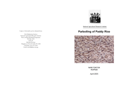 RGP008 Parboiling of Paddy Rice